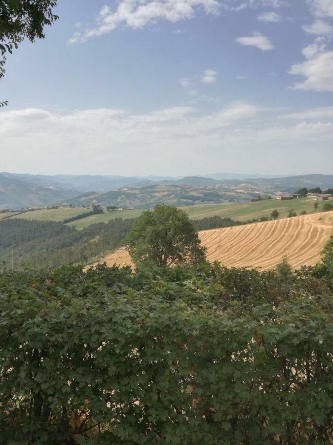 La Furbera B&B Marano sul Panaro Kültér fotó